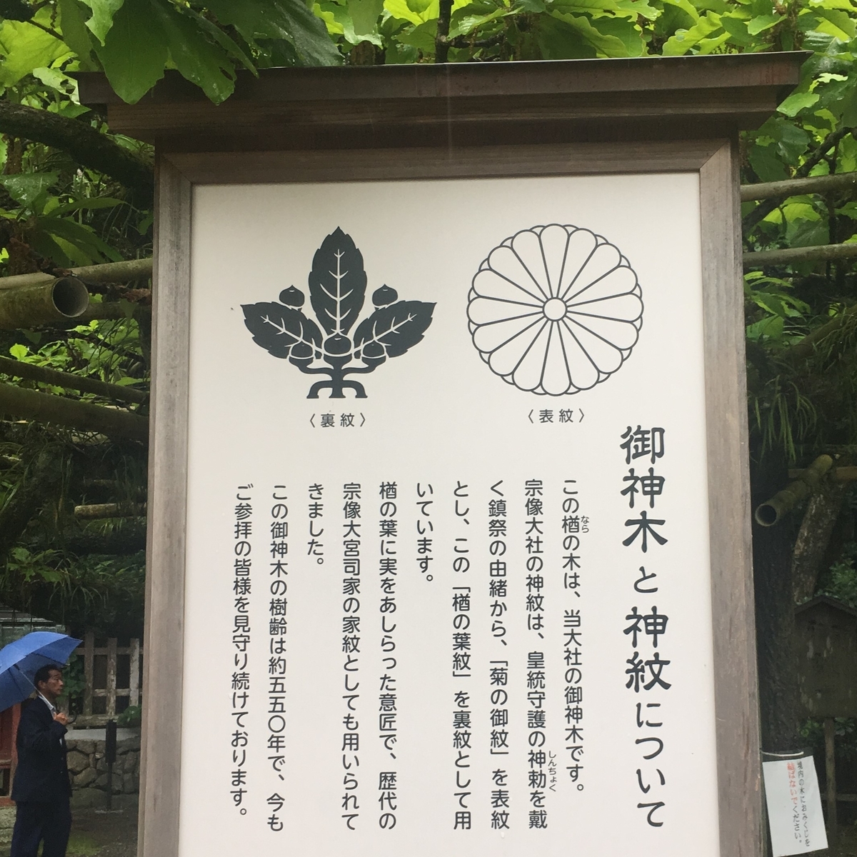 f:id:Kaimotu_Hatuji:20190804135651j:plain