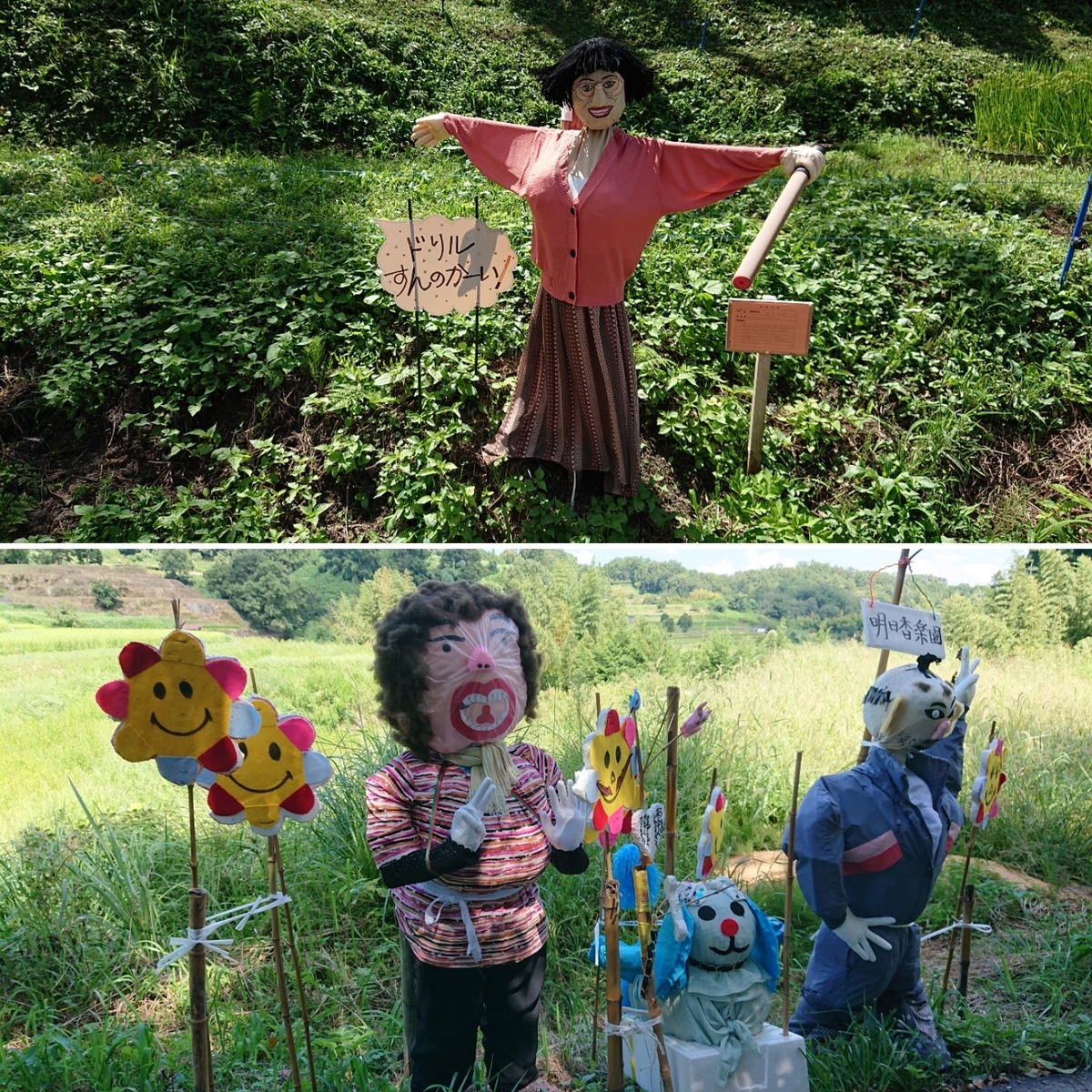 f:id:Kaimotu_Hatuji:20190908191231j:plain