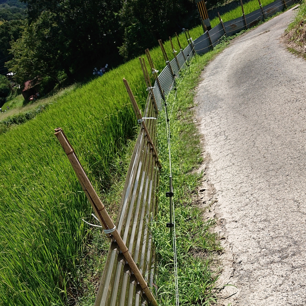 f:id:Kaimotu_Hatuji:20190908192207j:plain