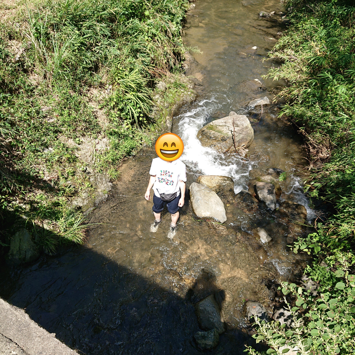 f:id:Kaimotu_Hatuji:20190909195808p:plain