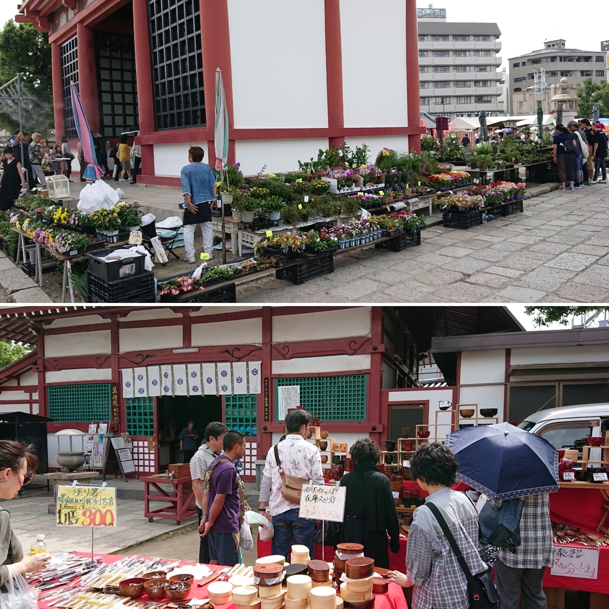 f:id:Kaimotu_Hatuji:20190922135514j:plain