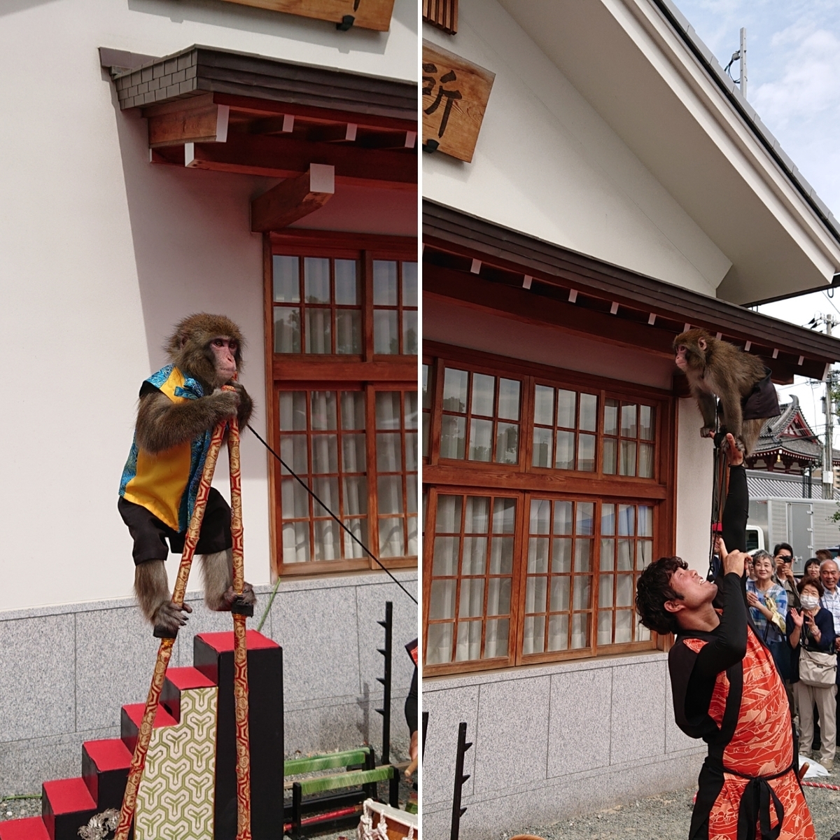 f:id:Kaimotu_Hatuji:20190922201000j:plain
