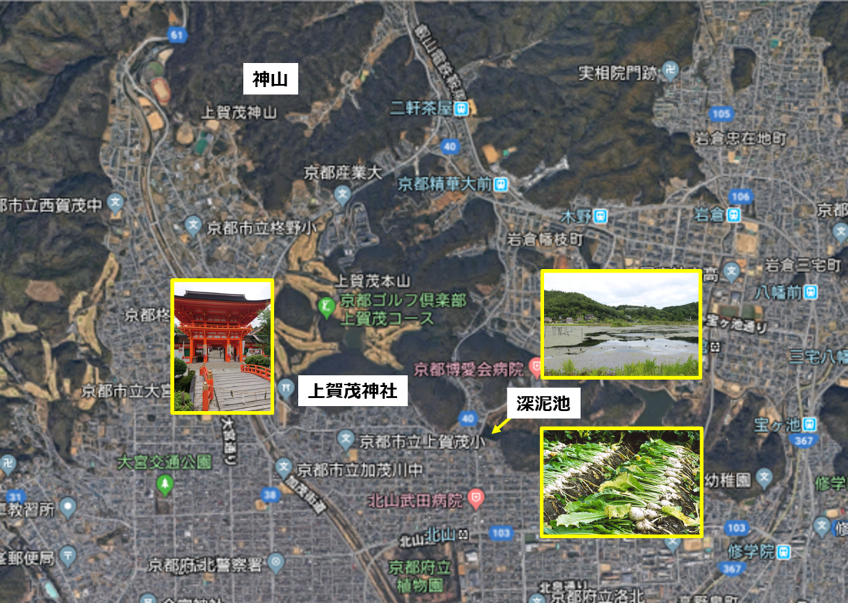 f:id:Kaimotu_Hatuji:20191008184524p:plain
