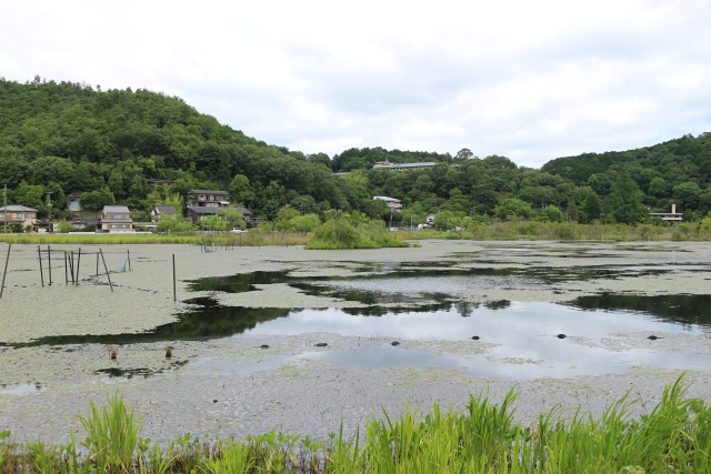 f:id:Kaimotu_Hatuji:20191008184738j:plain