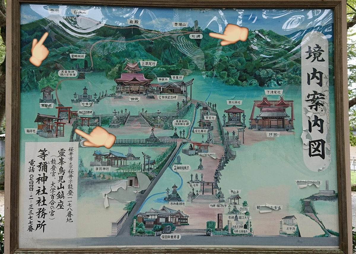 f:id:Kaimotu_Hatuji:20191016181230p:plain