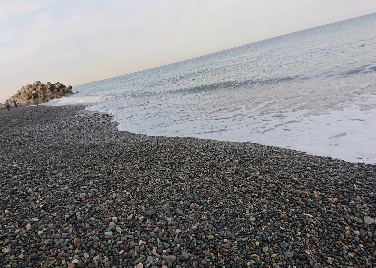 f:id:Kaimotu_Hatuji:20191103192921j:plain