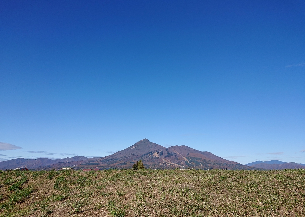 f:id:Kaimotu_Hatuji:20191110194424j:plain