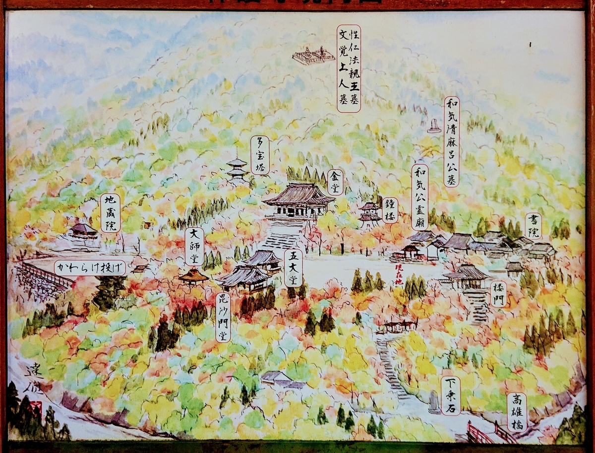 f:id:Kaimotu_Hatuji:20191117184701j:plain