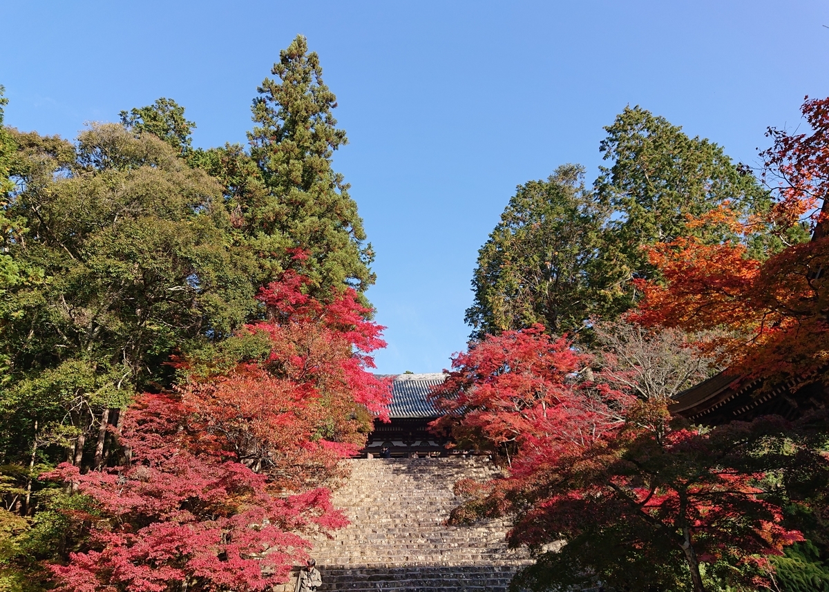 f:id:Kaimotu_Hatuji:20191117191003j:plain