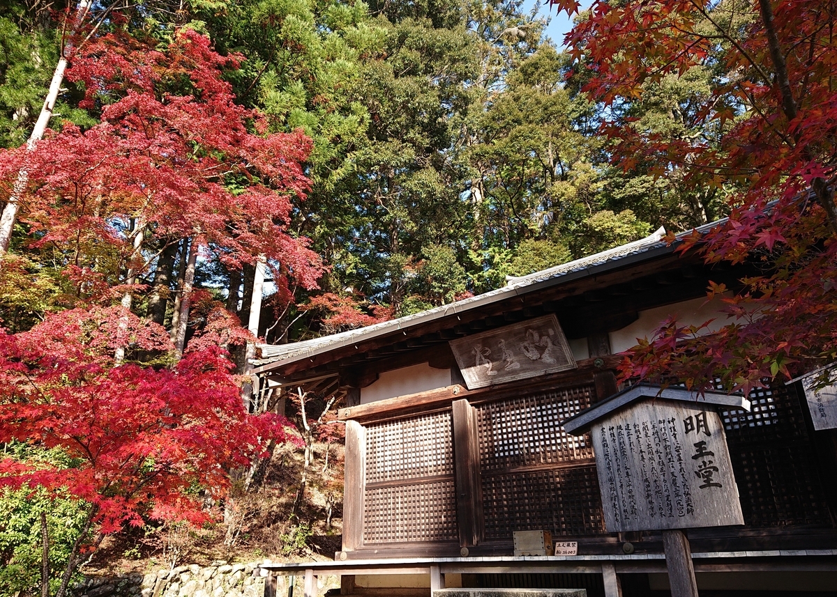 f:id:Kaimotu_Hatuji:20191117191053j:plain