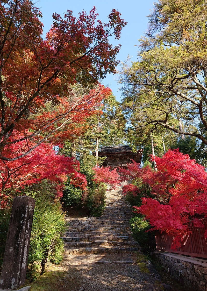 f:id:Kaimotu_Hatuji:20191117191125j:plain