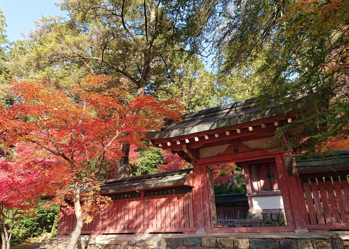 f:id:Kaimotu_Hatuji:20191117191201j:plain