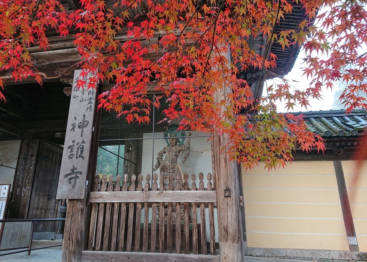 f:id:Kaimotu_Hatuji:20191117191301j:plain