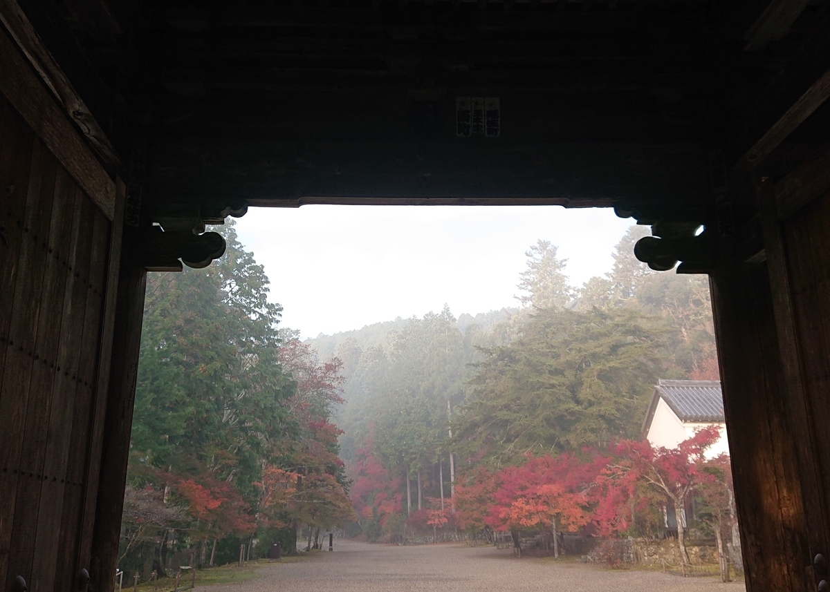 f:id:Kaimotu_Hatuji:20191117191327j:plain