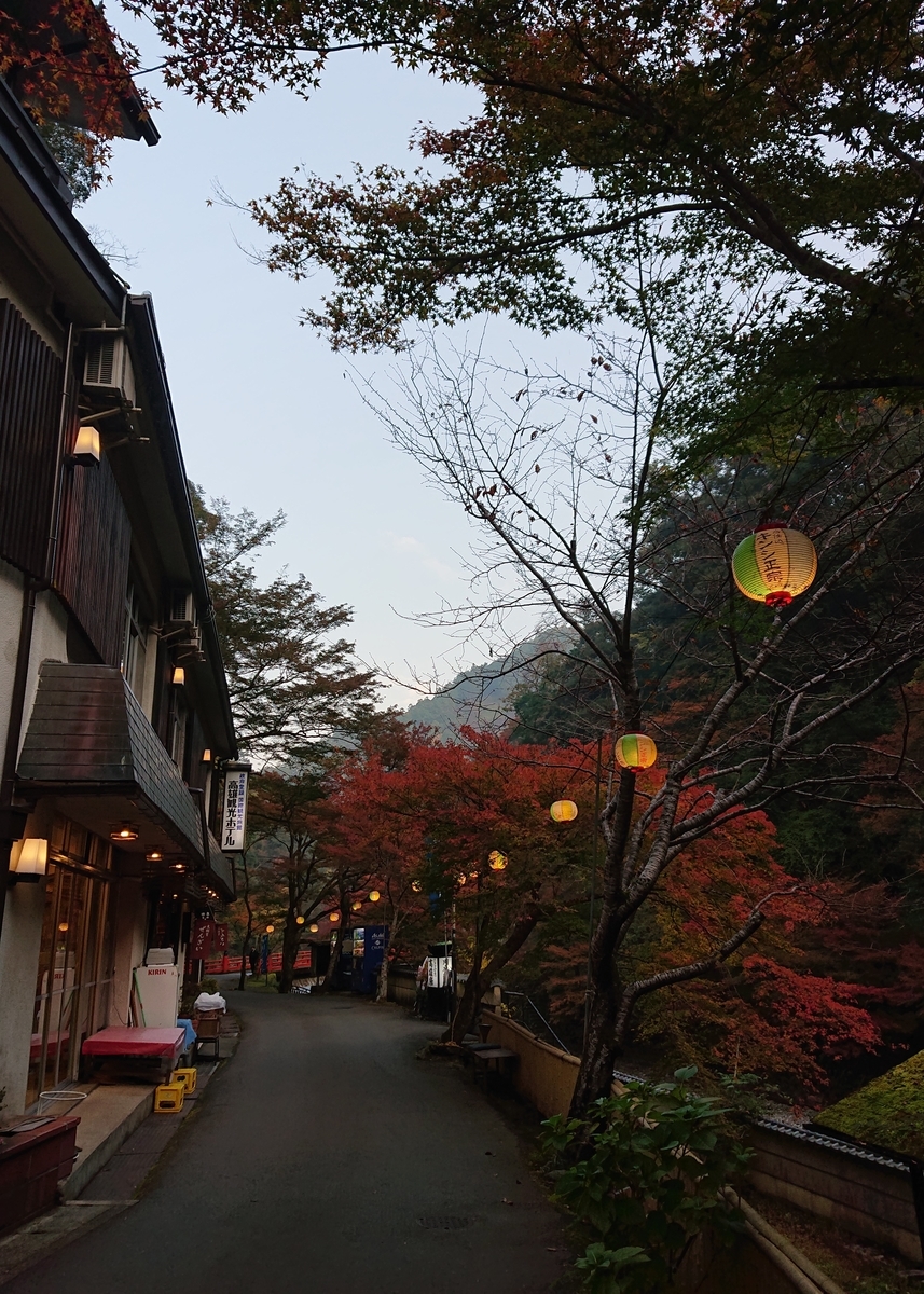 f:id:Kaimotu_Hatuji:20191117191541j:plain