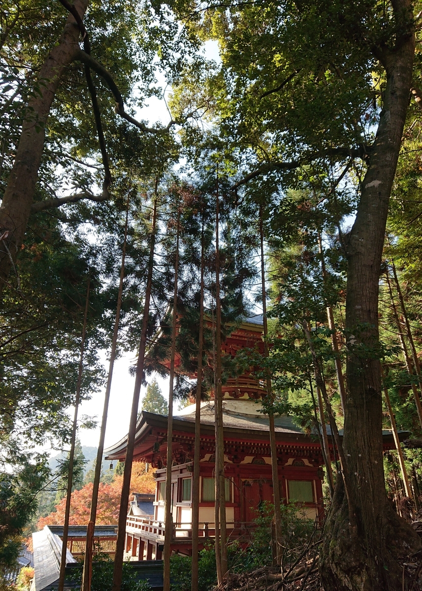 f:id:Kaimotu_Hatuji:20191117235638j:plain