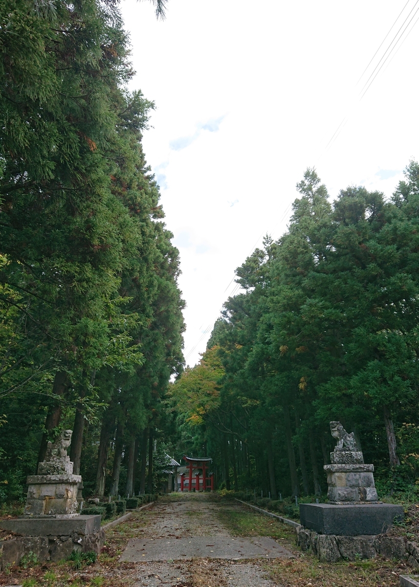 f:id:Kaimotu_Hatuji:20191120133250j:plain