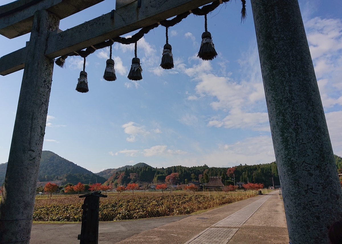 f:id:Kaimotu_Hatuji:20191124141829j:plain