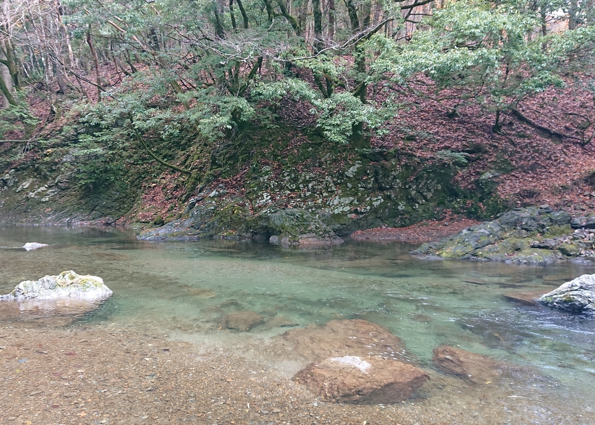 f:id:Kaimotu_Hatuji:20191201143405j:plain