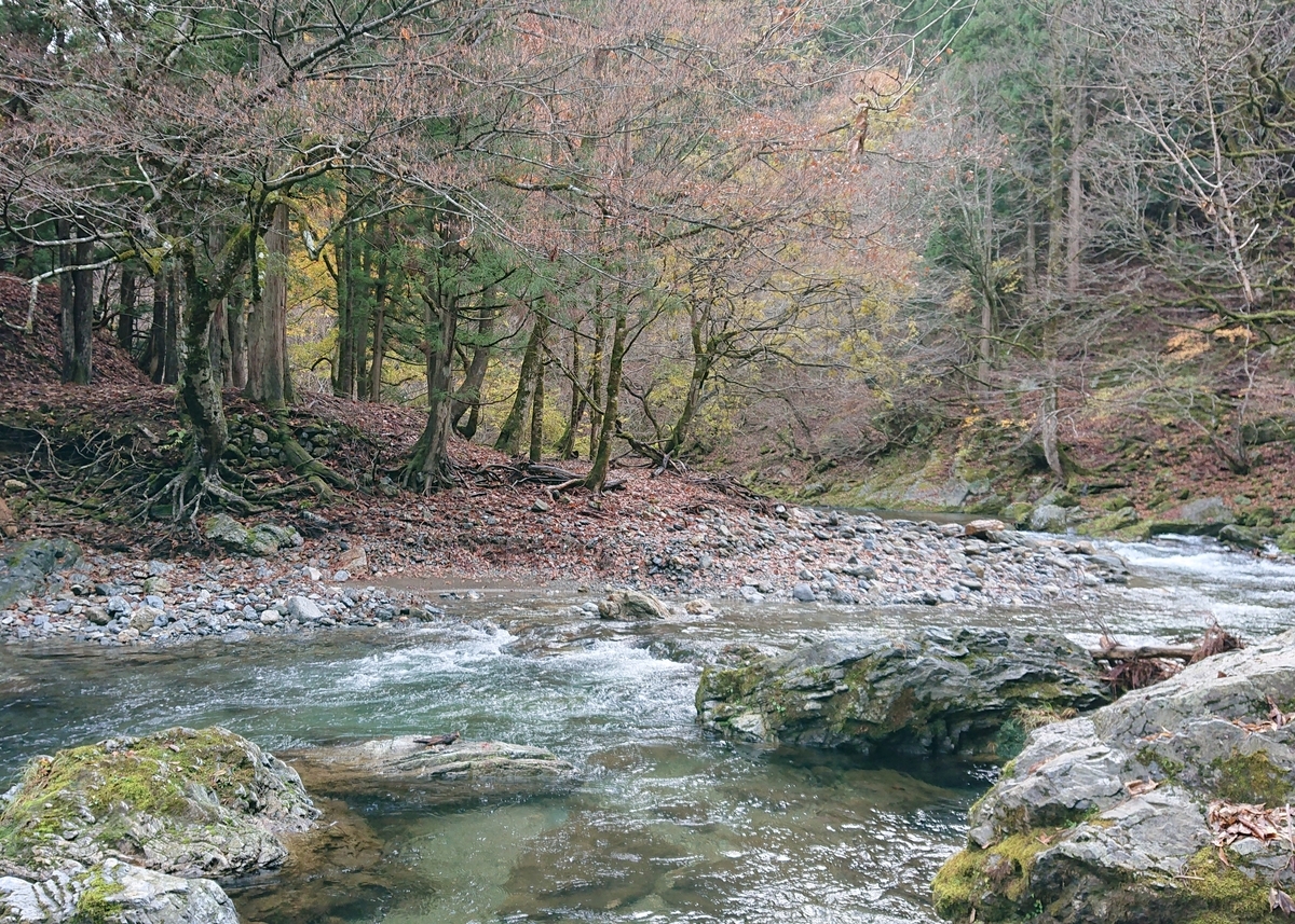 f:id:Kaimotu_Hatuji:20191201143535j:plain