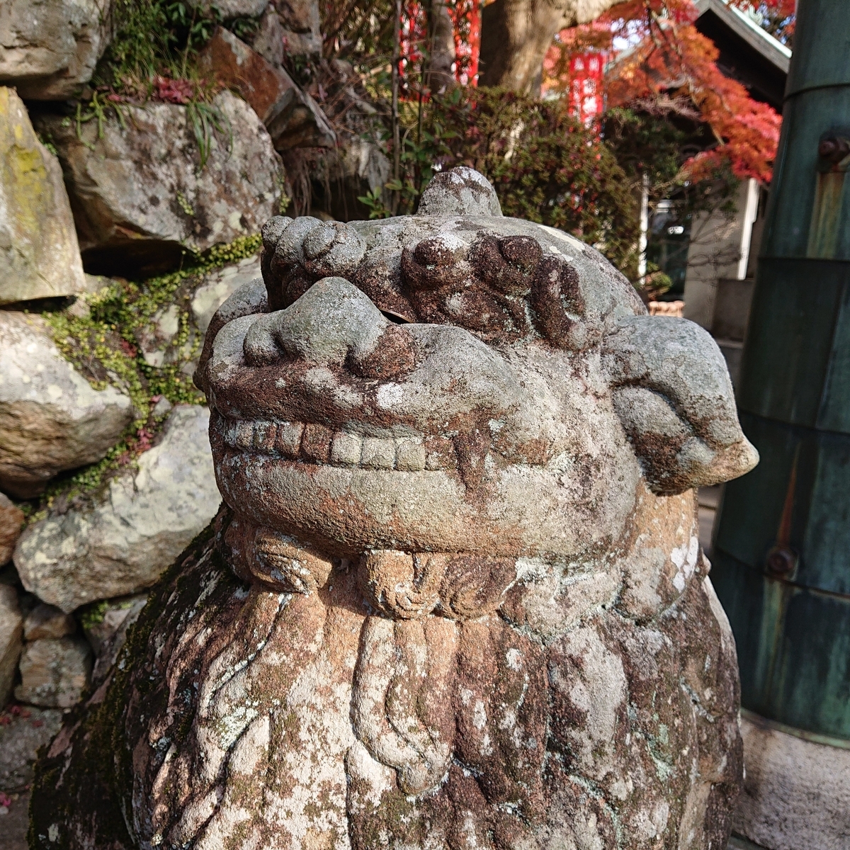 f:id:Kaimotu_Hatuji:20191208184352j:plain