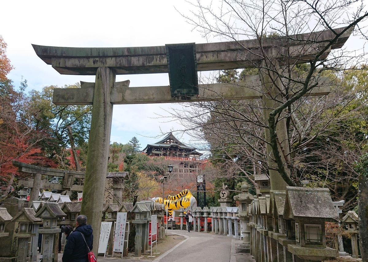 f:id:Kaimotu_Hatuji:20191208190708j:plain