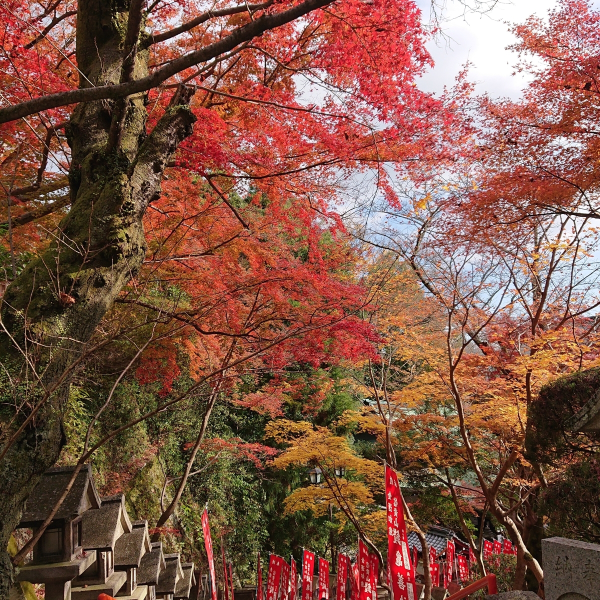 f:id:Kaimotu_Hatuji:20191208195221j:plain