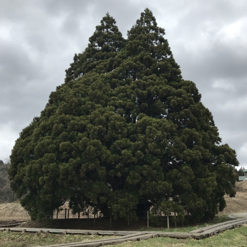 f:id:Kaimotu_Hatuji:20191217162923j:plain