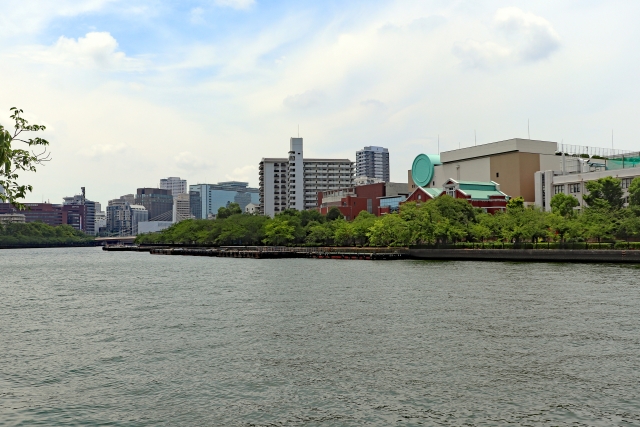 f:id:Kaimotu_Hatuji:20191226153317j:plain