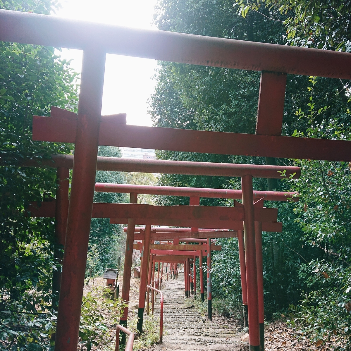 f:id:Kaimotu_Hatuji:20200104162000j:plain