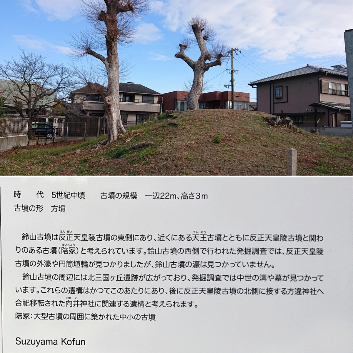 f:id:Kaimotu_Hatuji:20200105183126j:plain