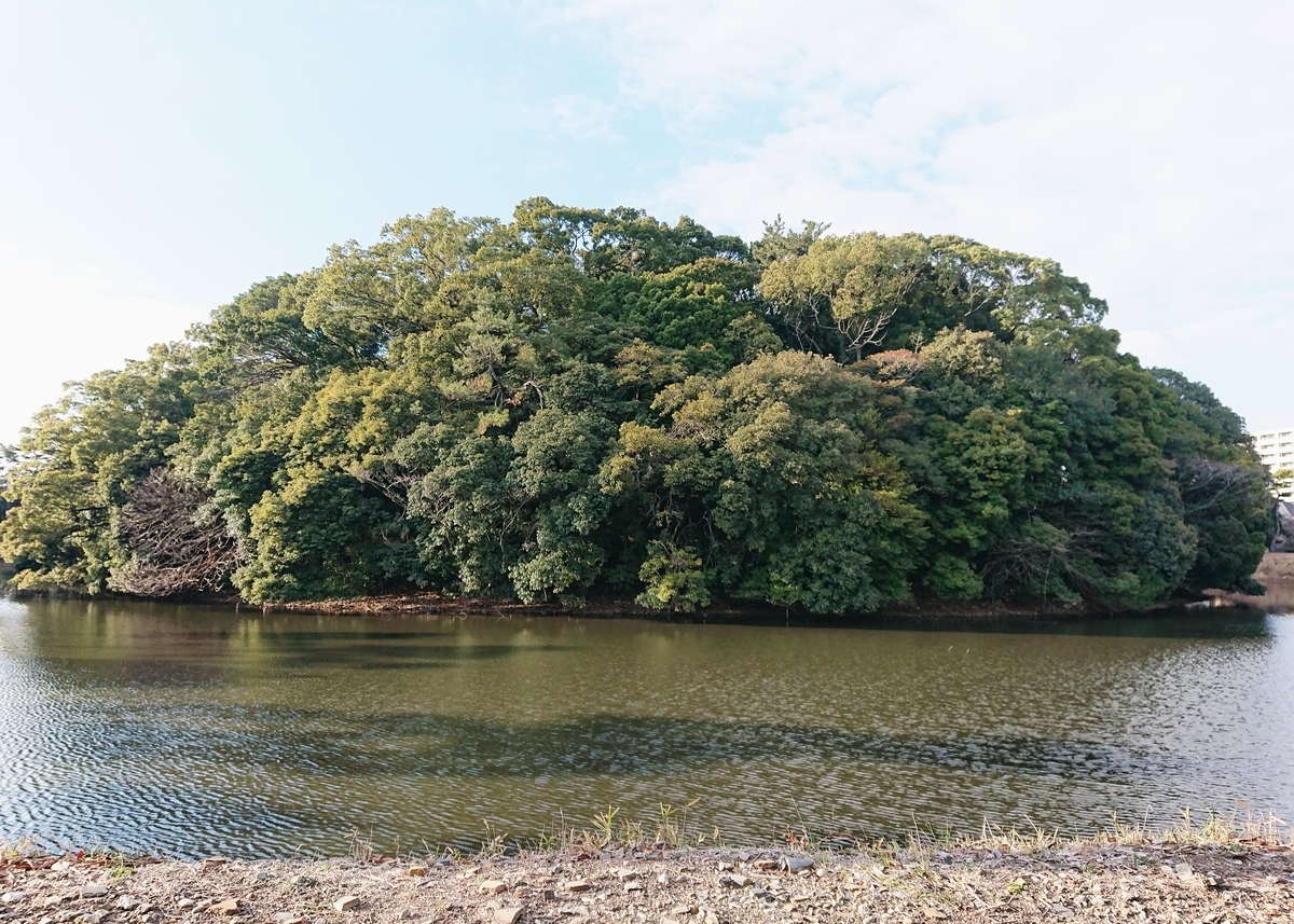 f:id:Kaimotu_Hatuji:20200105183230j:plain