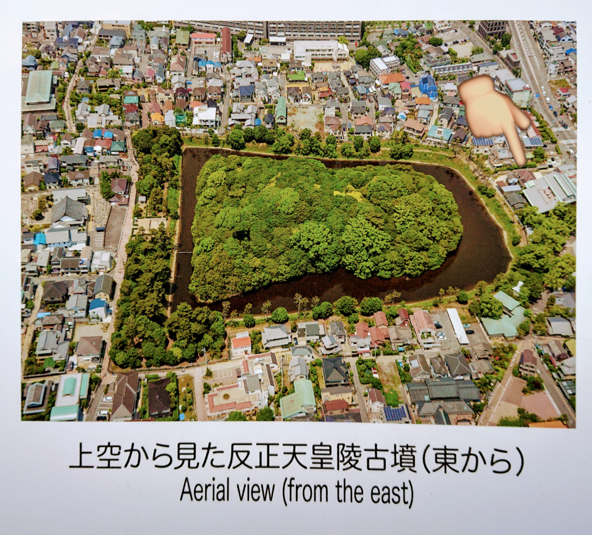 f:id:Kaimotu_Hatuji:20200105190848p:plain