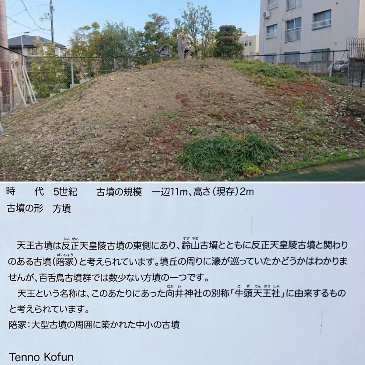 f:id:Kaimotu_Hatuji:20200105194750j:plain