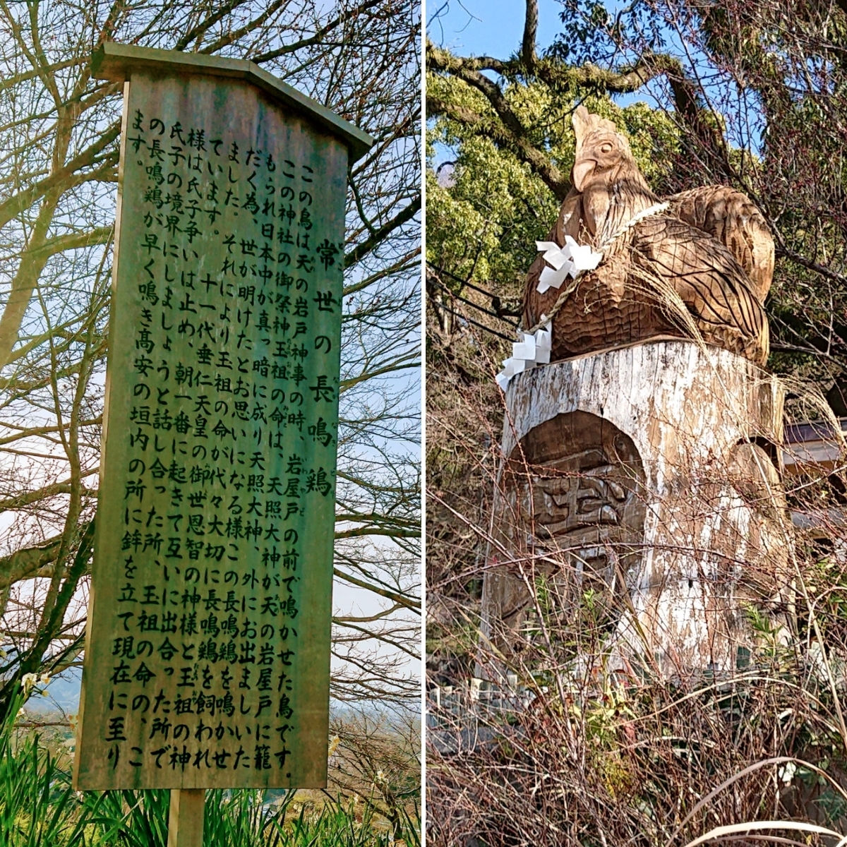 f:id:Kaimotu_Hatuji:20200111192313j:plain