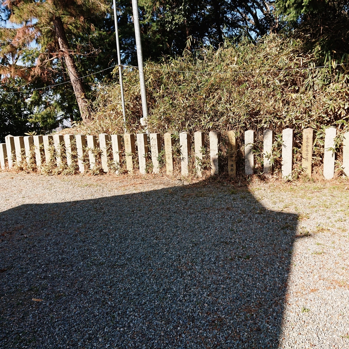 f:id:Kaimotu_Hatuji:20200111192954j:plain