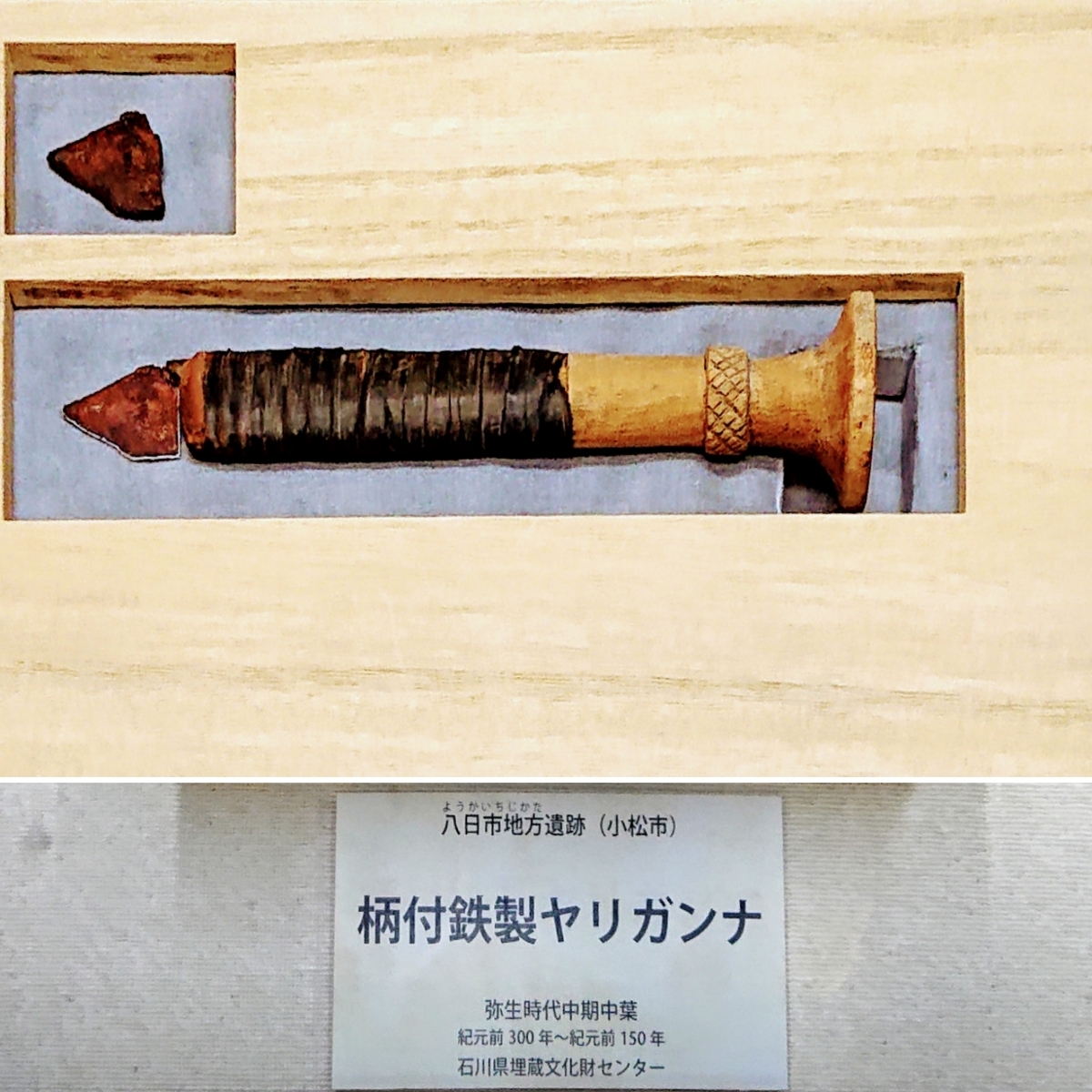 f:id:Kaimotu_Hatuji:20200202120900j:plain f:id:Kaimotu_Hatuji:20200202120900j:plain