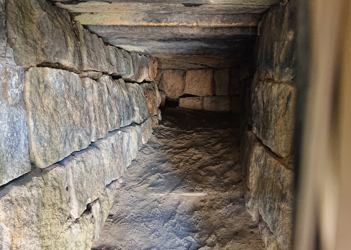 f:id:Kaimotu_Hatuji:20200214182157j:plain f:id:Kaimotu_Hatuji:20200214182157j:plain