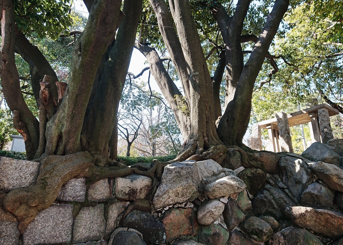 f:id:Kaimotu_Hatuji:20200214182820j:plain f:id:Kaimotu_Hatuji:20200214182820j:plain