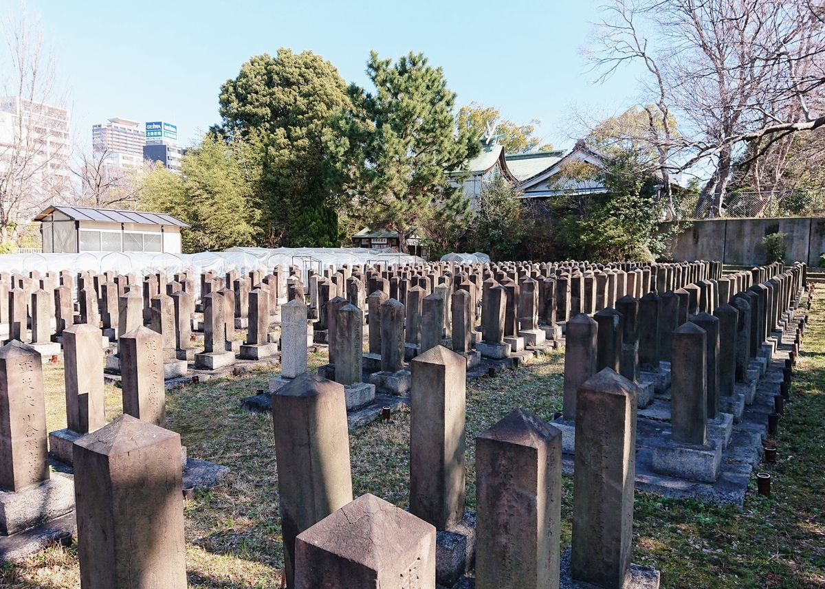 f:id:Kaimotu_Hatuji:20200214183146j:plain f:id:Kaimotu_Hatuji:20200214183146j:plain