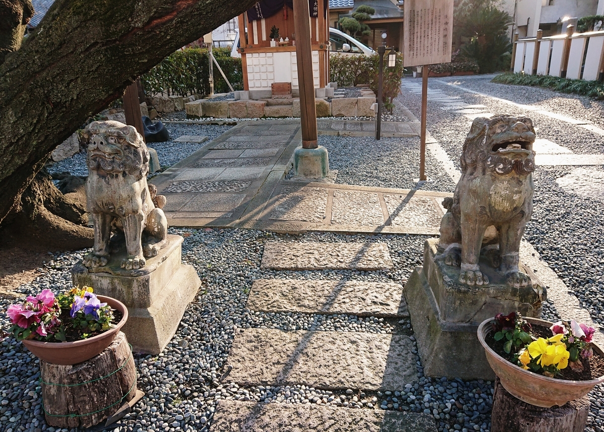 f:id:Kaimotu_Hatuji:20200221123211j:plain