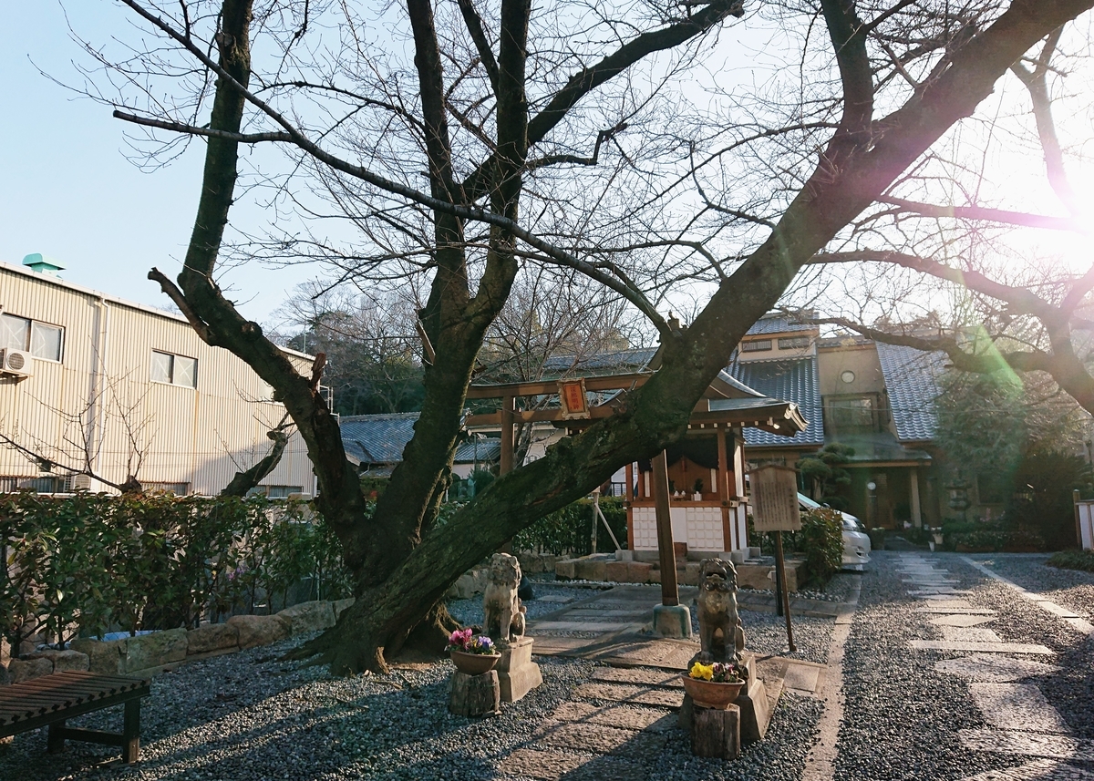 f:id:Kaimotu_Hatuji:20200221123328j:plain