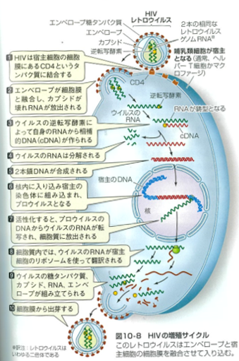 f:id:Kaimotu_Hatuji:20200319185704p:plain