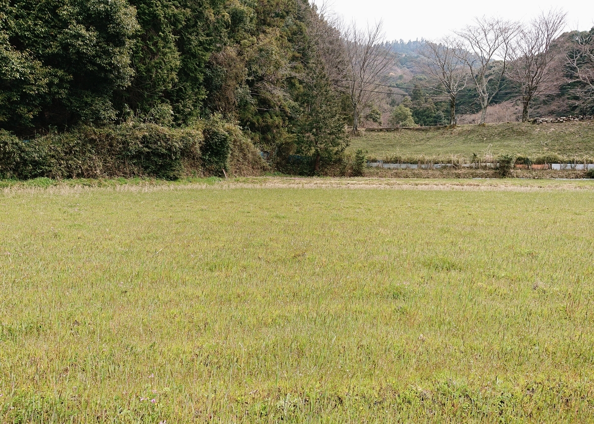 f:id:Kaimotu_Hatuji:20200328185612j:plain