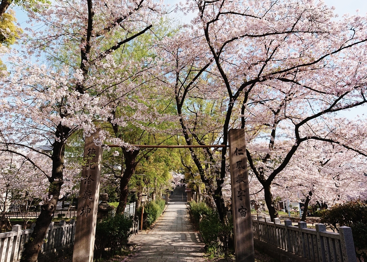 f:id:Kaimotu_Hatuji:20200410214440j:plain