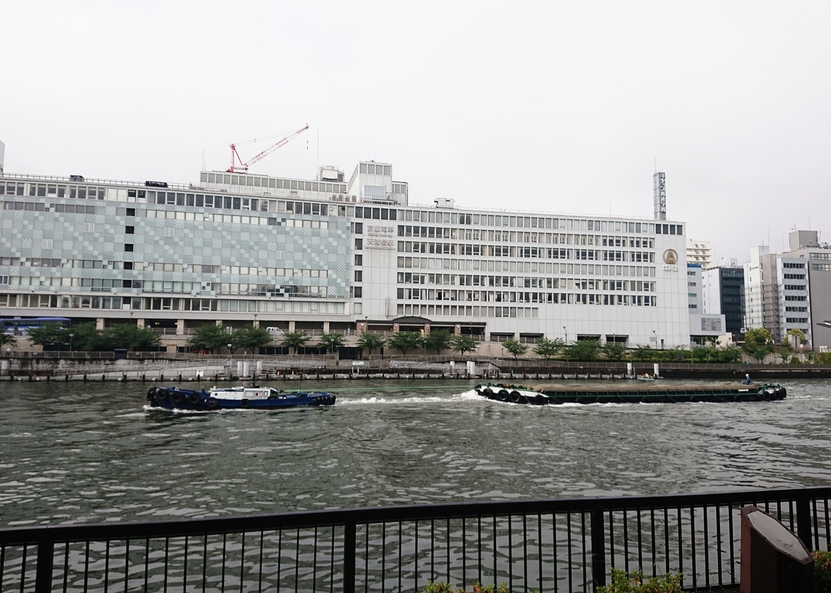 f:id:Kaimotu_Hatuji:20200603191406j:plain f:id:Kaimotu_Hatuji:20200603191406j:plain