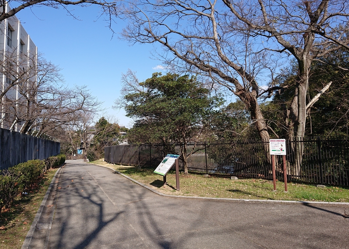 f:id:Kaimotu_Hatuji:20200603203807j:plain f:id:Kaimotu_Hatuji:20200603203807j:plain