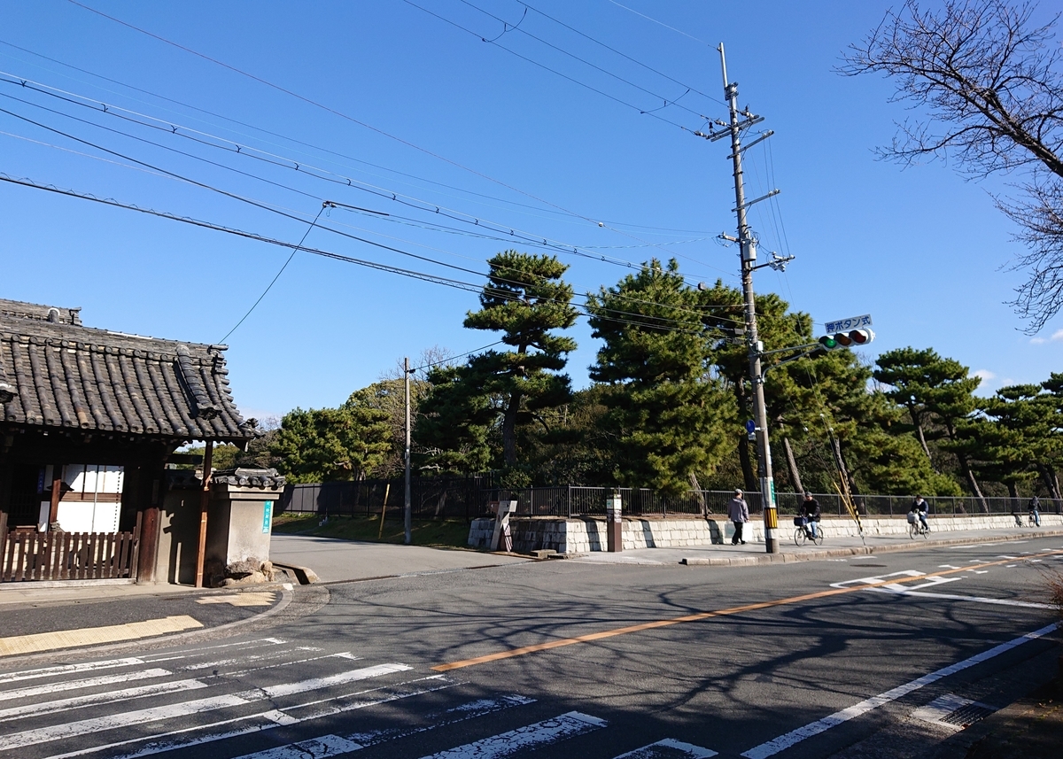 f:id:Kaimotu_Hatuji:20200603204120j:plain f:id:Kaimotu_Hatuji:20200603204120j:plain