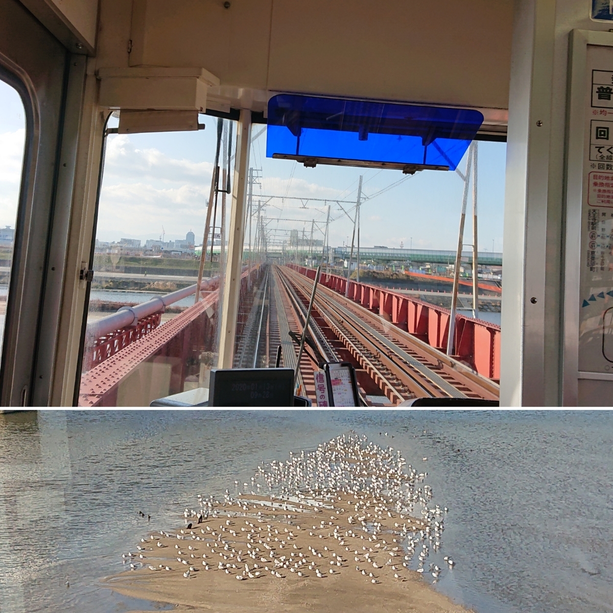 f:id:Kaimotu_Hatuji:20200604061422j:plain f:id:Kaimotu_Hatuji:20200604061422j:plain