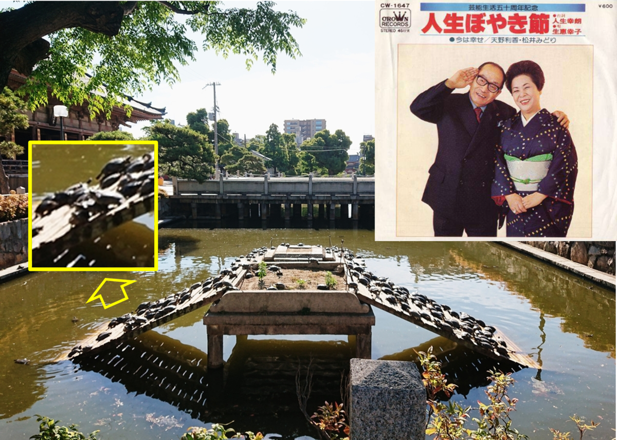 f:id:Kaimotu_Hatuji:20200607114433p:plain